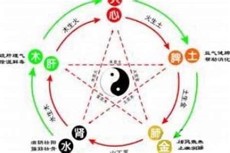 属虎五行属什么|属虎五行分别是什么属性